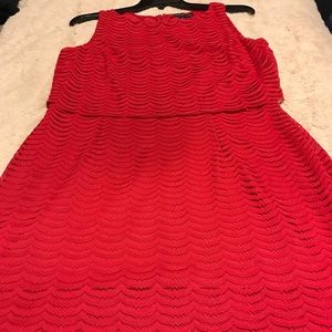 Lace detail dress by American Living